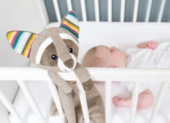 Zazu - Robin Le Raton Laveur - Doudou Musical Ou Bruit Blanc 50 Cm -Moulin Roty Peluche Boutique zazu2020robin20raton20laveur2020musical20ou20bruit20blanc205020cm 2